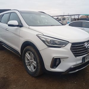 Hyundai Maxcruz 2018